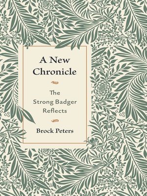 cover image of A New Chronicle